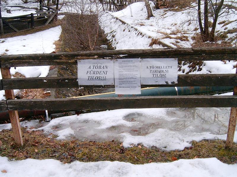 20110219 080.jpg